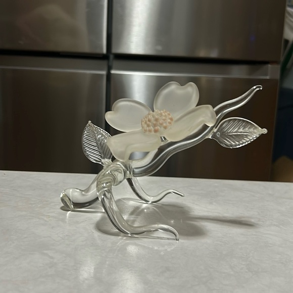 Frabel GlassDogwood – Single